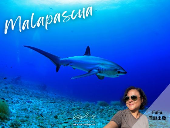 2026-06-02 Malapascua Ocean Vida Resort 6D5N Package - Travel with Fa Fa